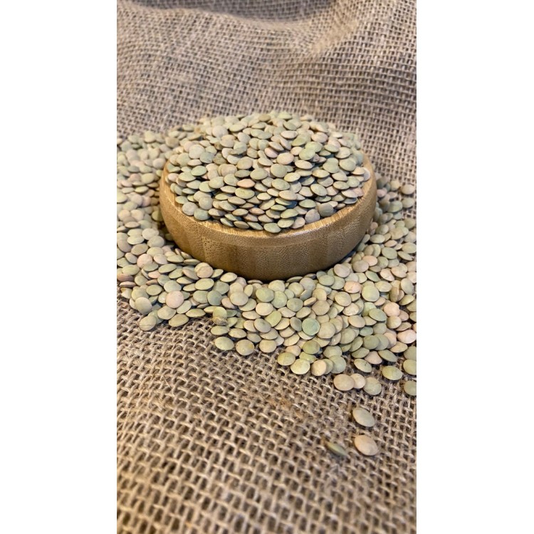 Yeşil mercimek ( yerli )