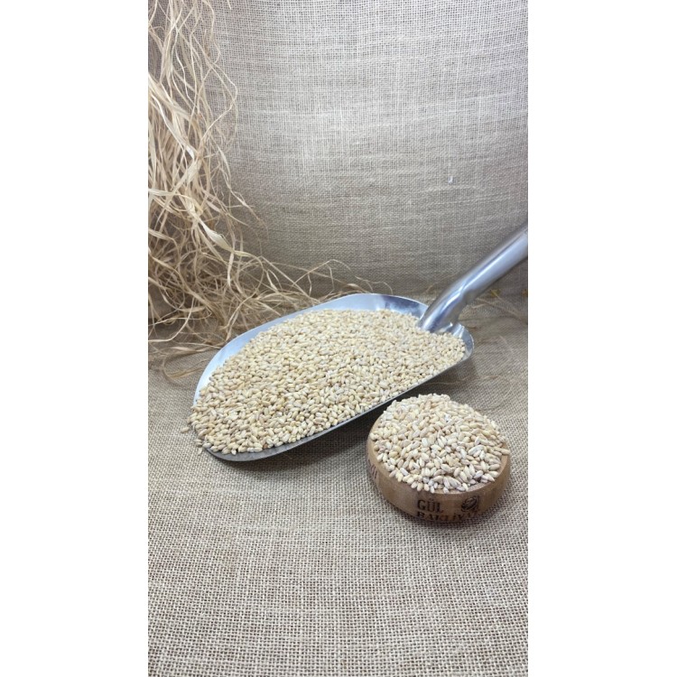 Gendime (Aşurelik buğday)