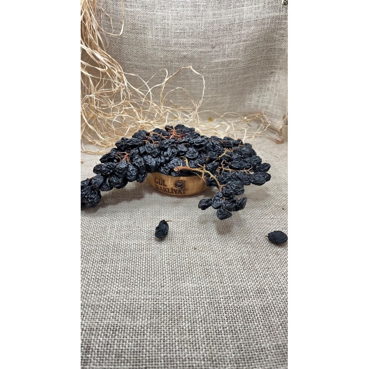 Salkım Üzüm Kurusu